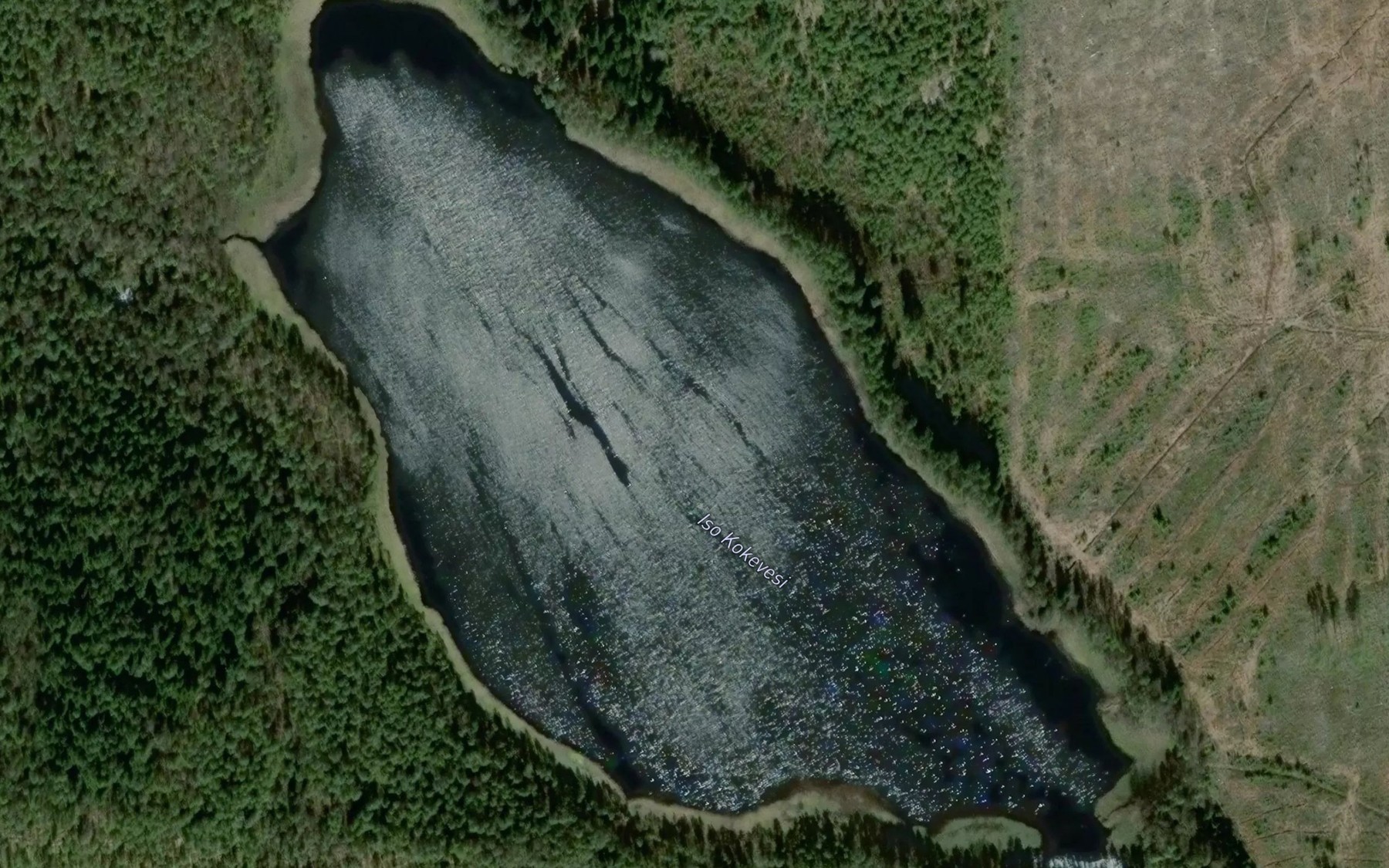 Satellite map of the Iso Kokevesi