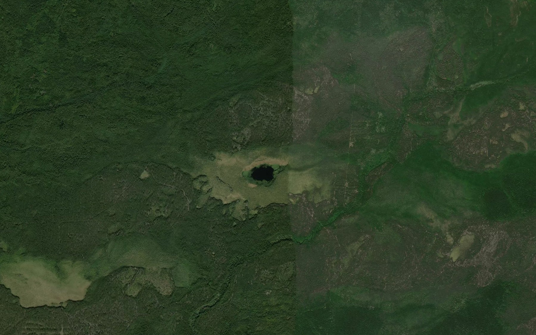 Satellite map of the Ozero Slepnevo