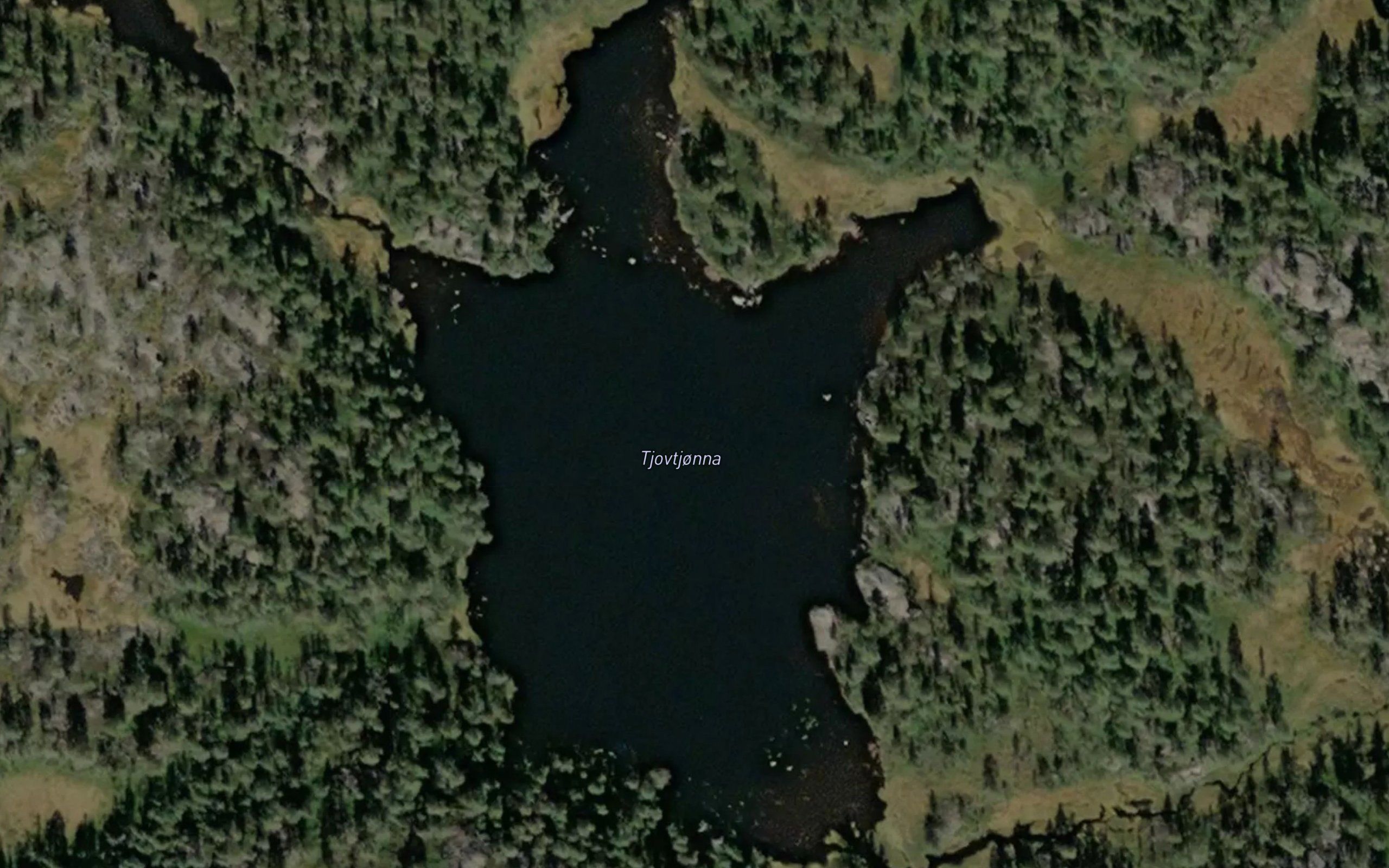 Tjovtjonna
