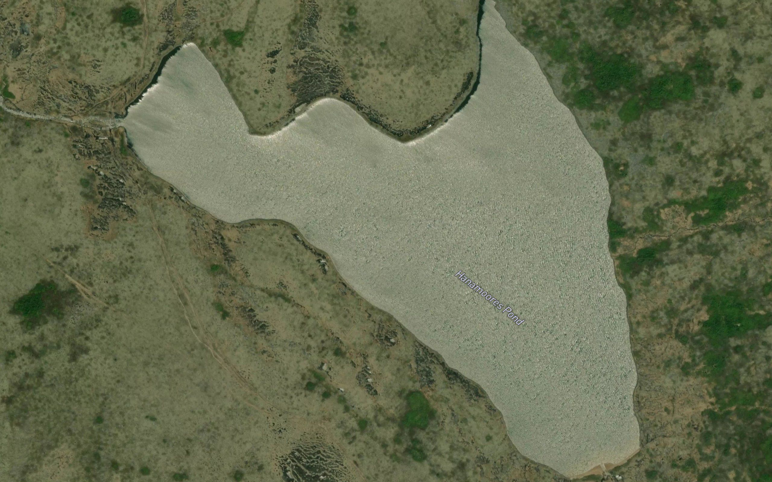 Hanamoores Pond