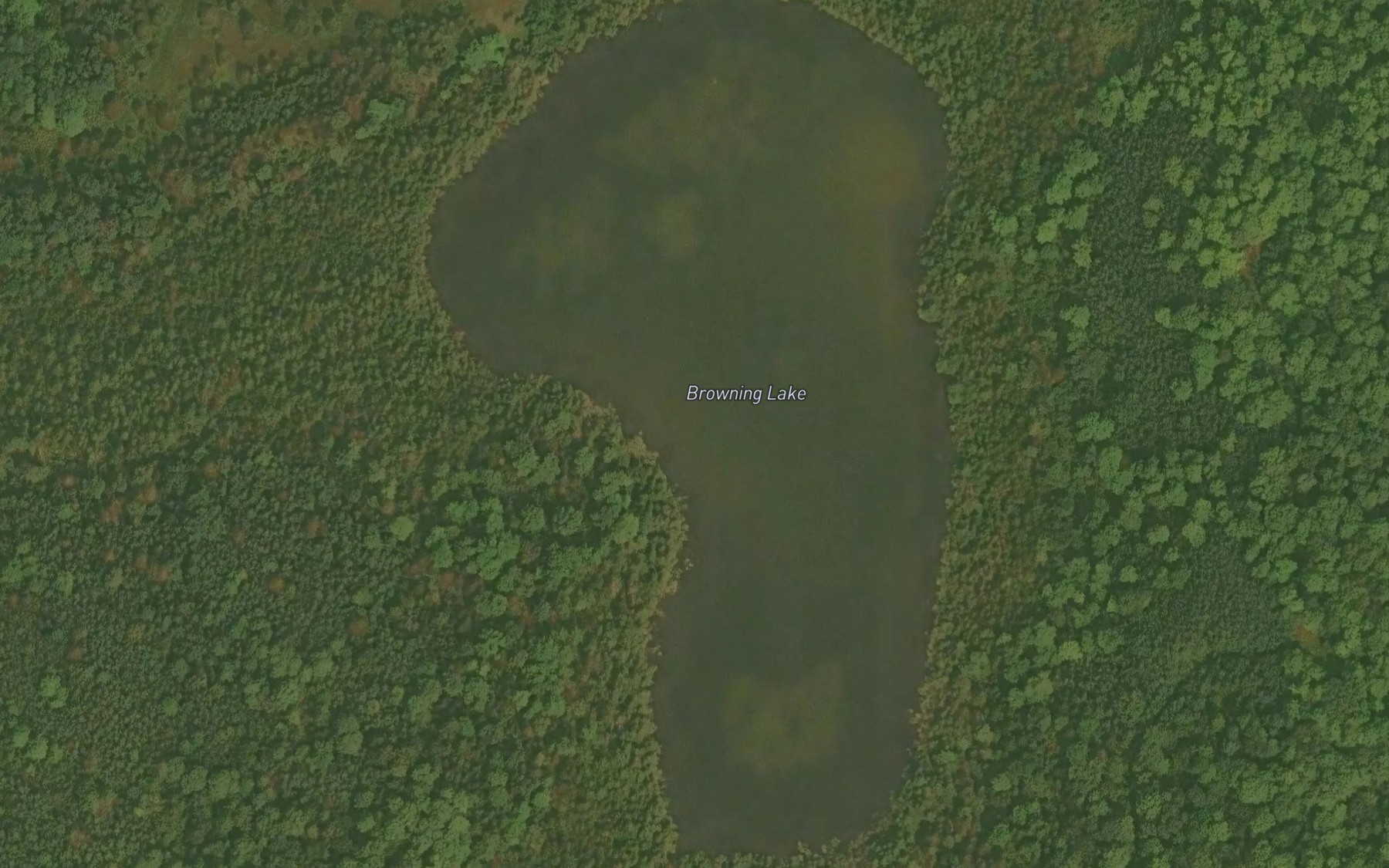 Satellite map of the Browning Lake