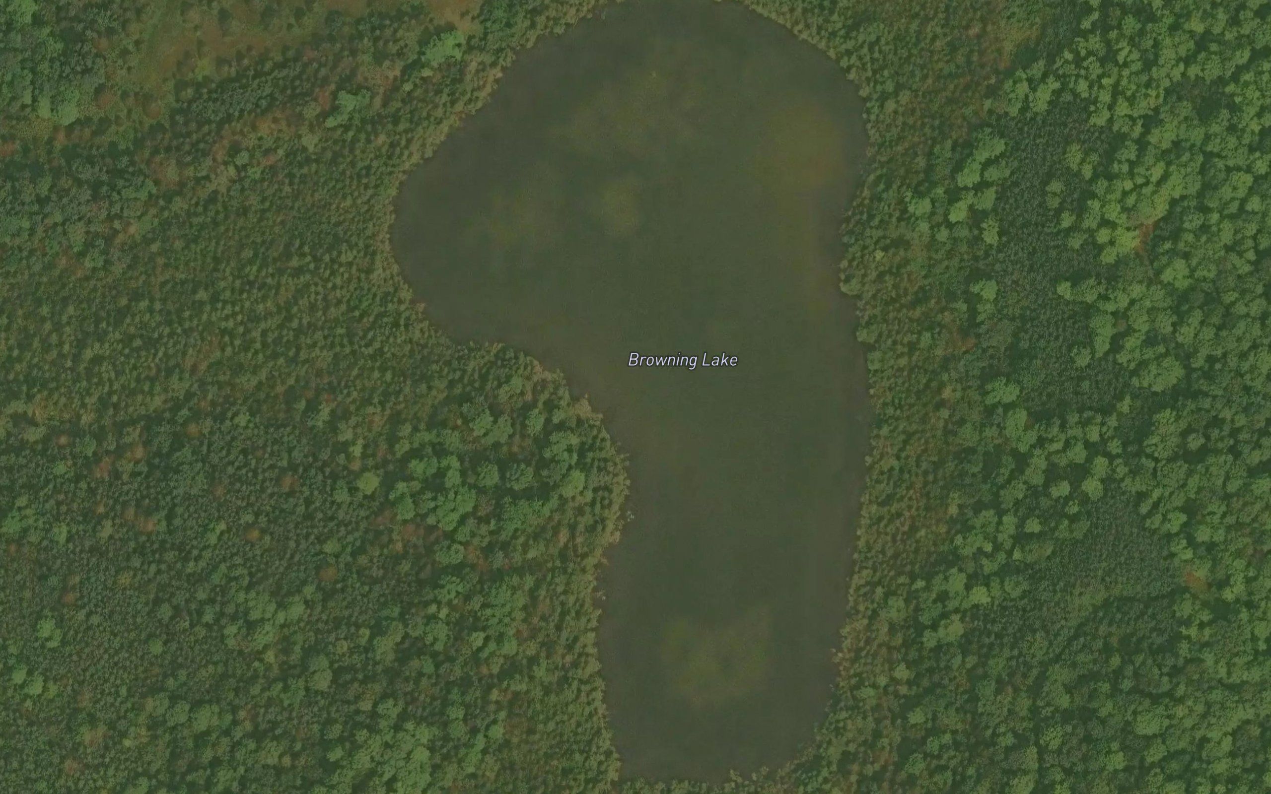 Browning Lake