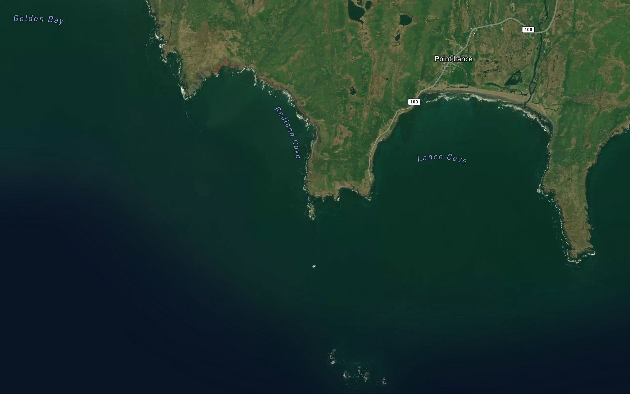 Bull Island Gut