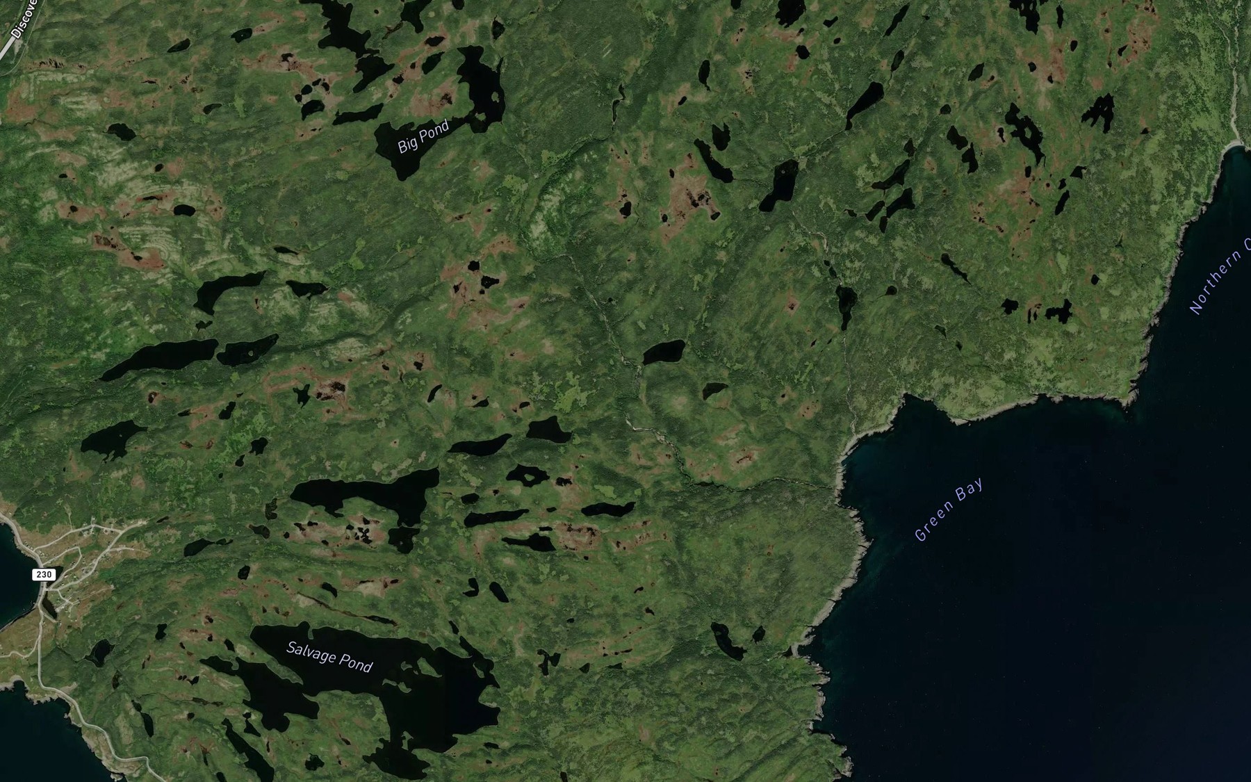 Satellite map of the Duck Pond