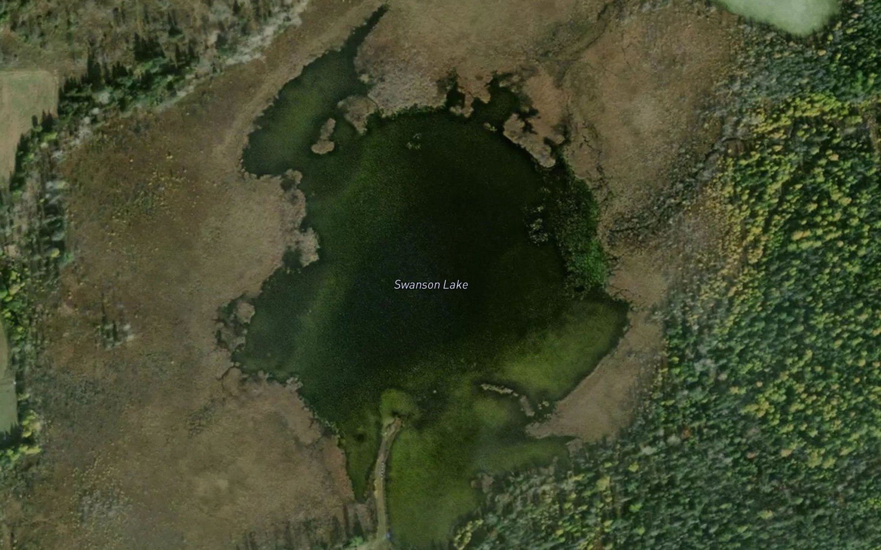 Satellite map of the Swanson Lake