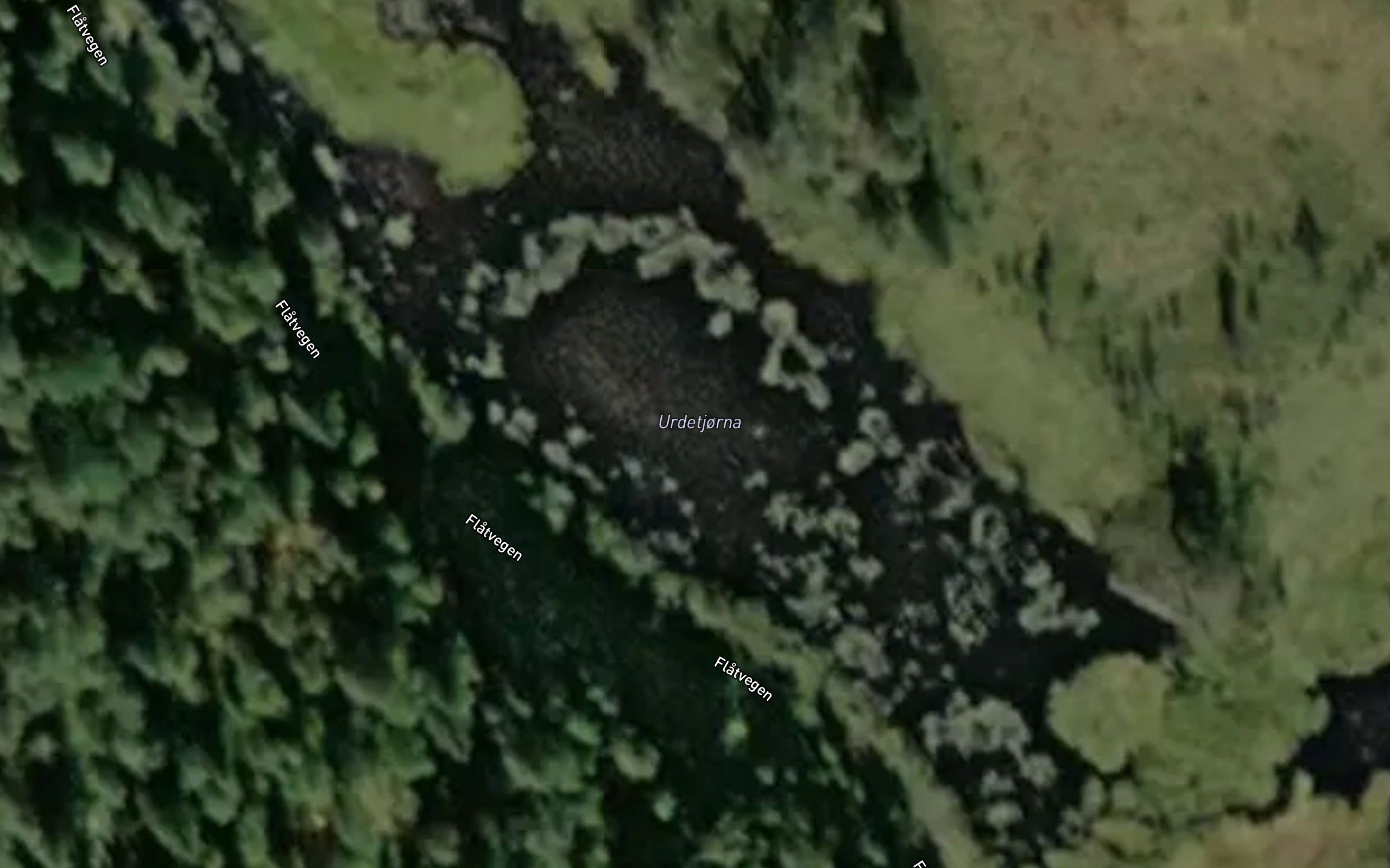 Uretjonn