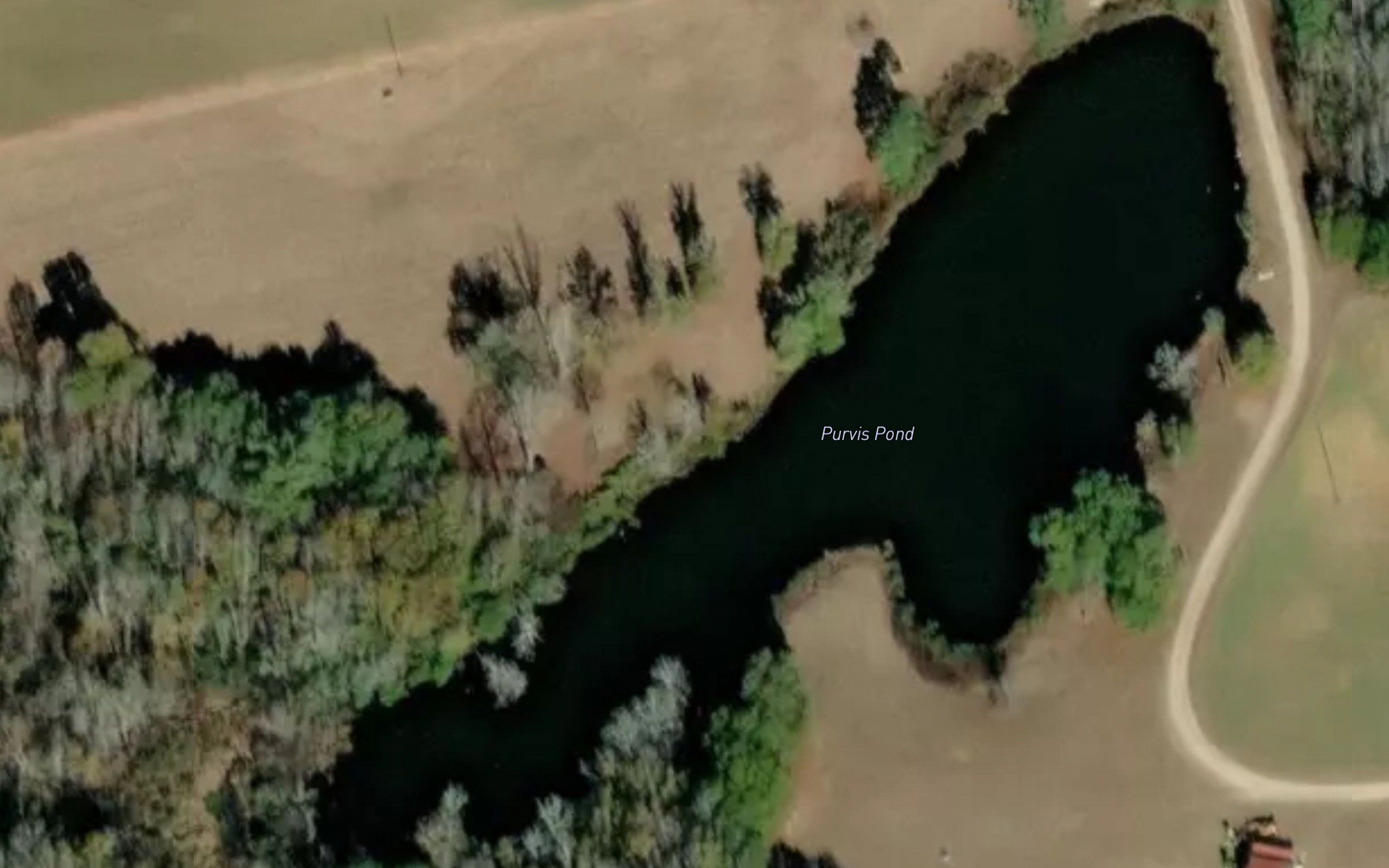 Purvis Pond
