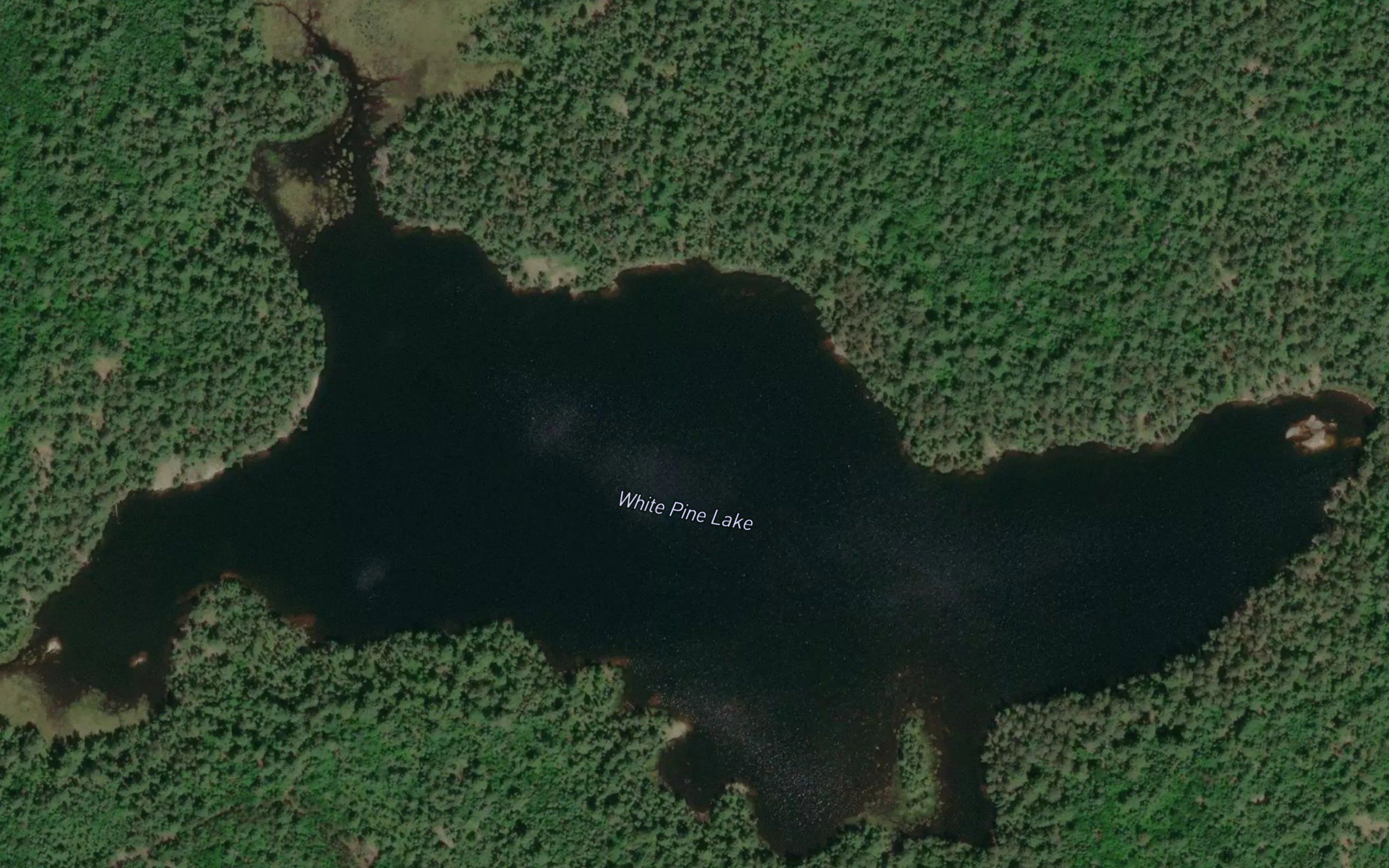 White Pine Lake
