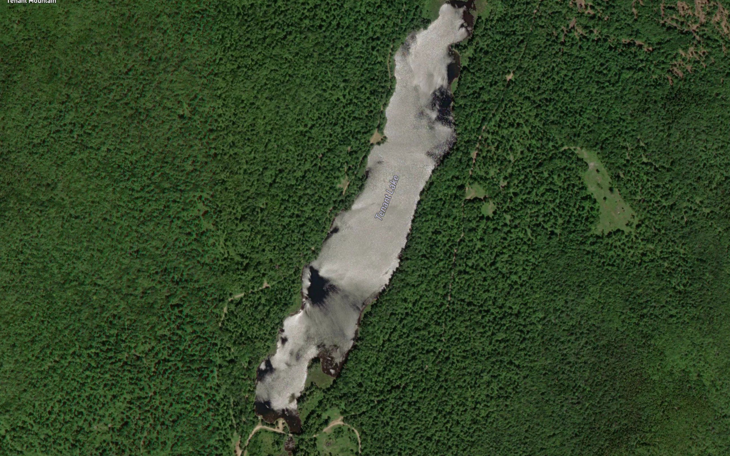 Tenant Lake