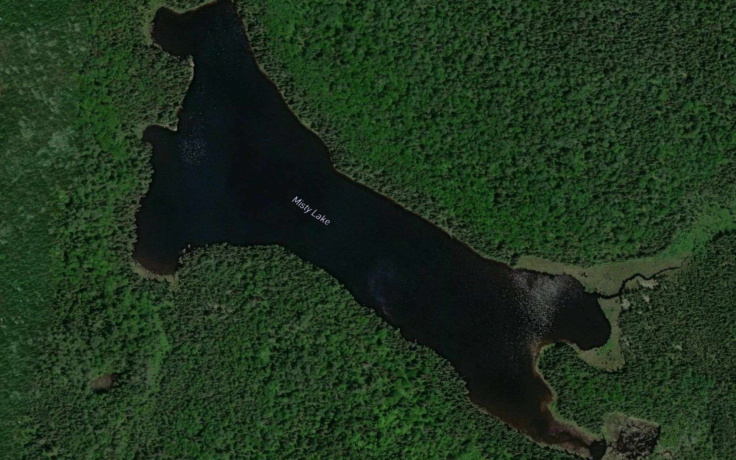 Misty Lake