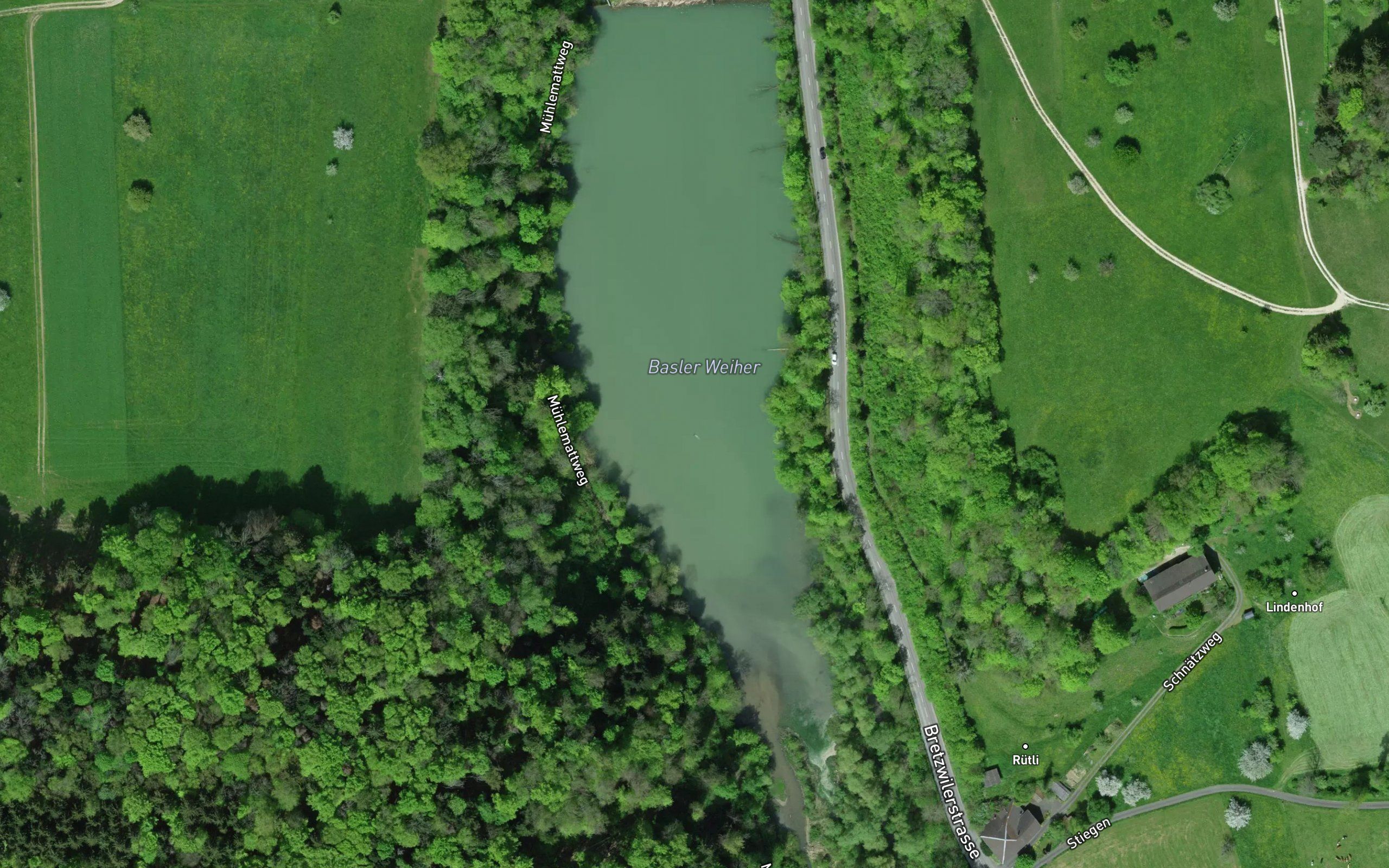 Basler Weiher