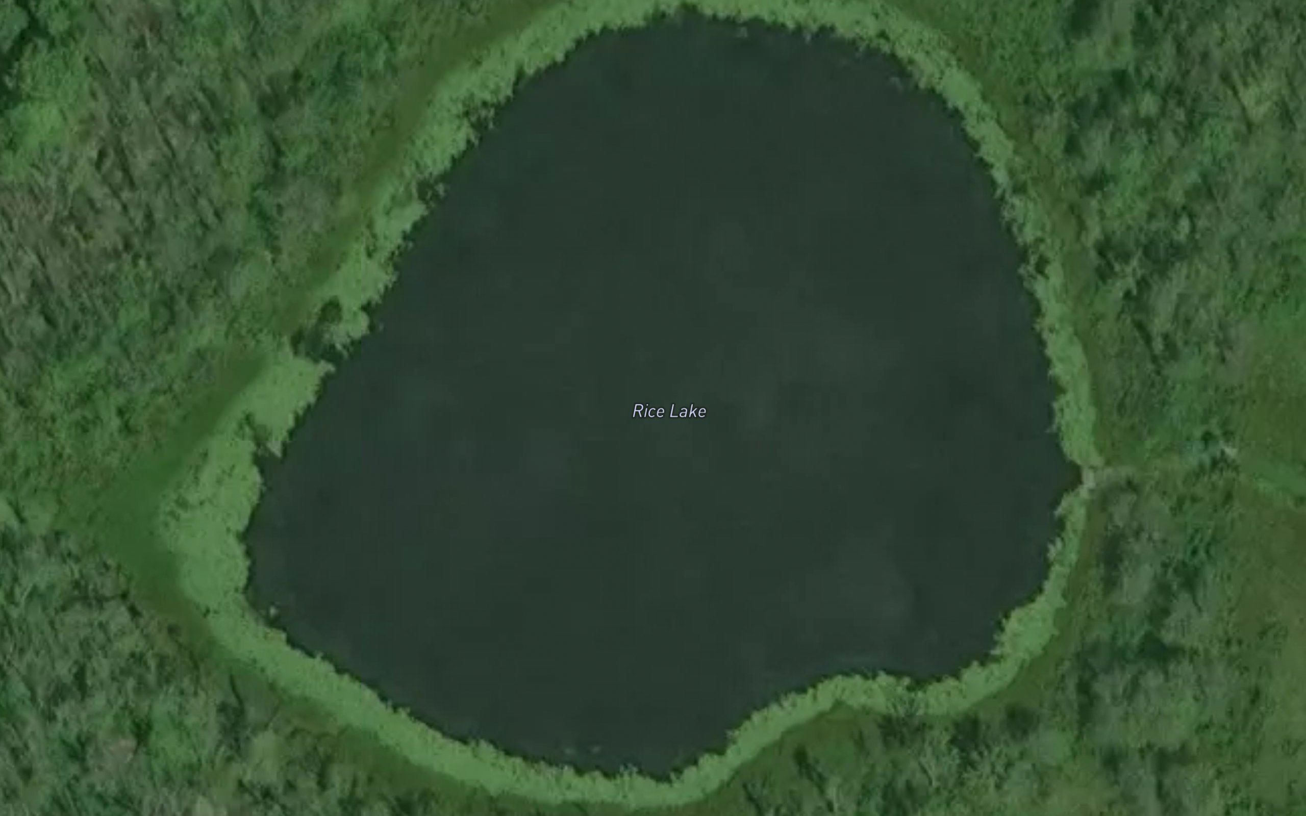 Rice Lake