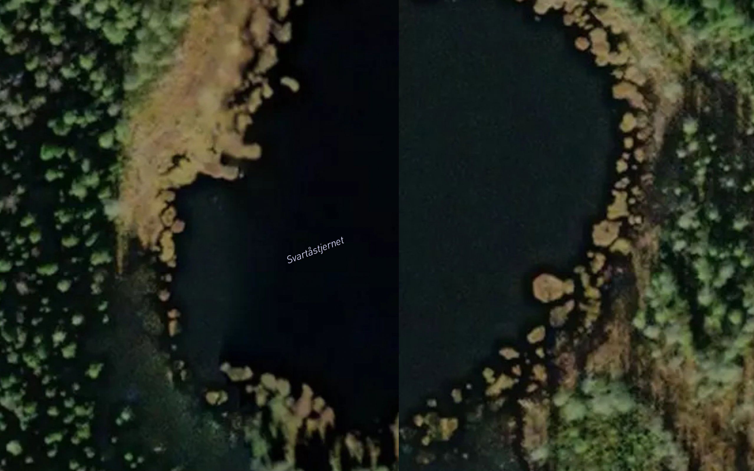 Svartastjernet