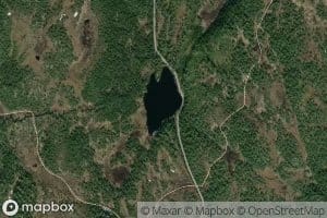 Ertstjorna