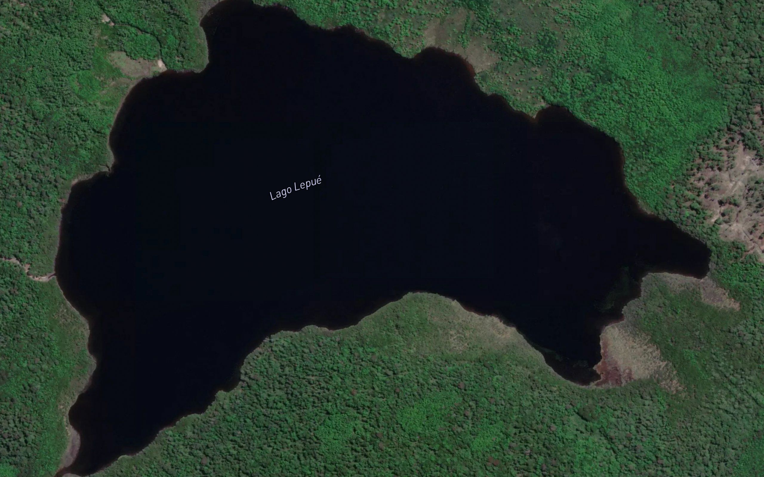 Lago Lepue