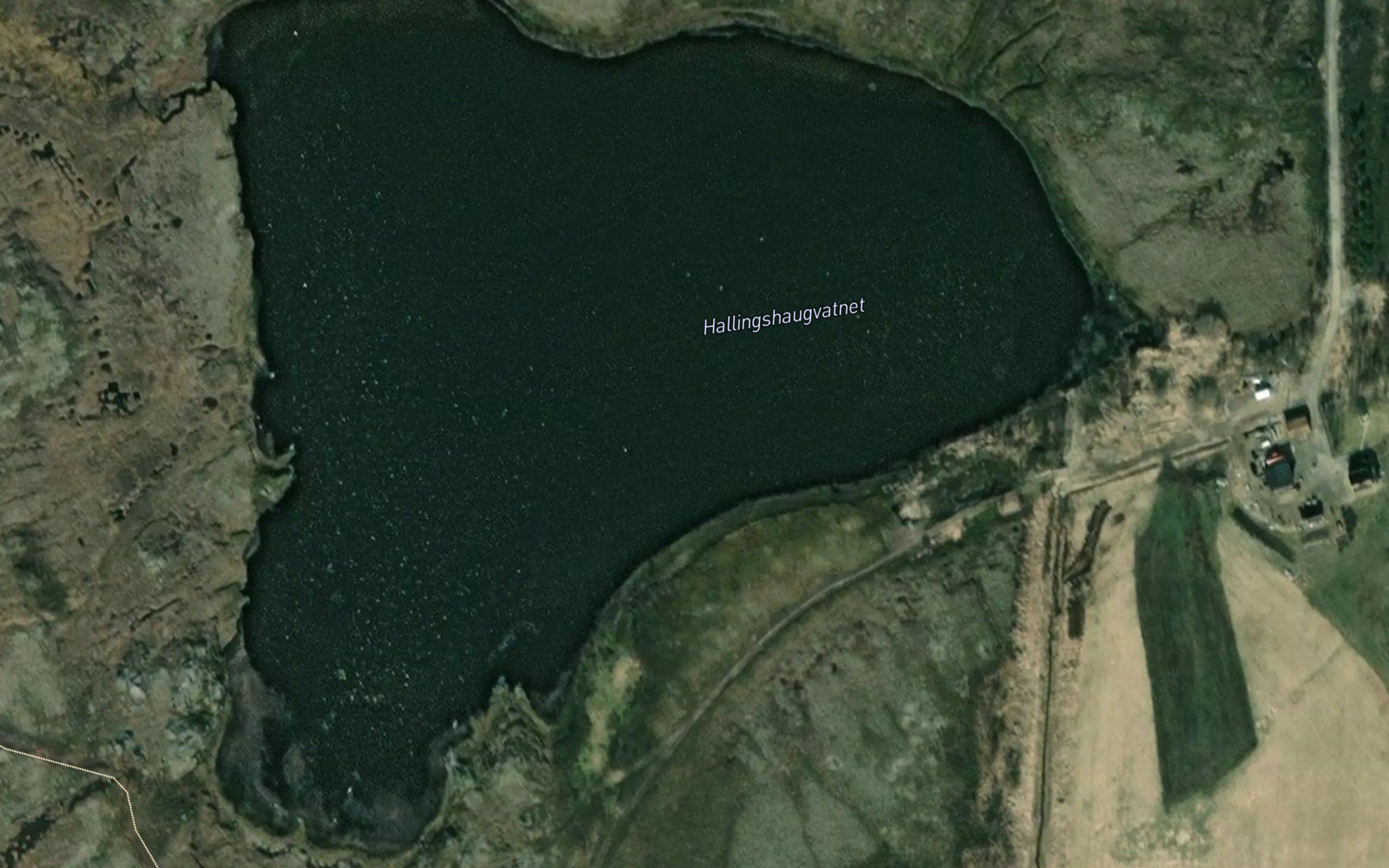 Hallingshaugvatnet