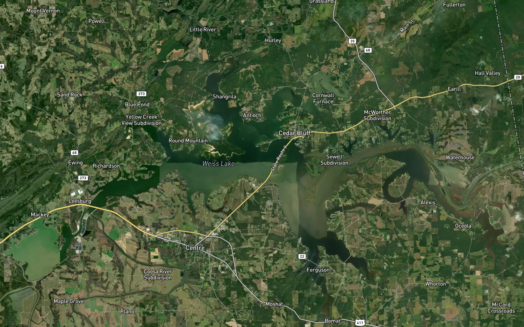 Satellite map of the Weiss Lake
