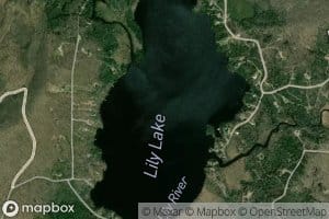 Lily Lake