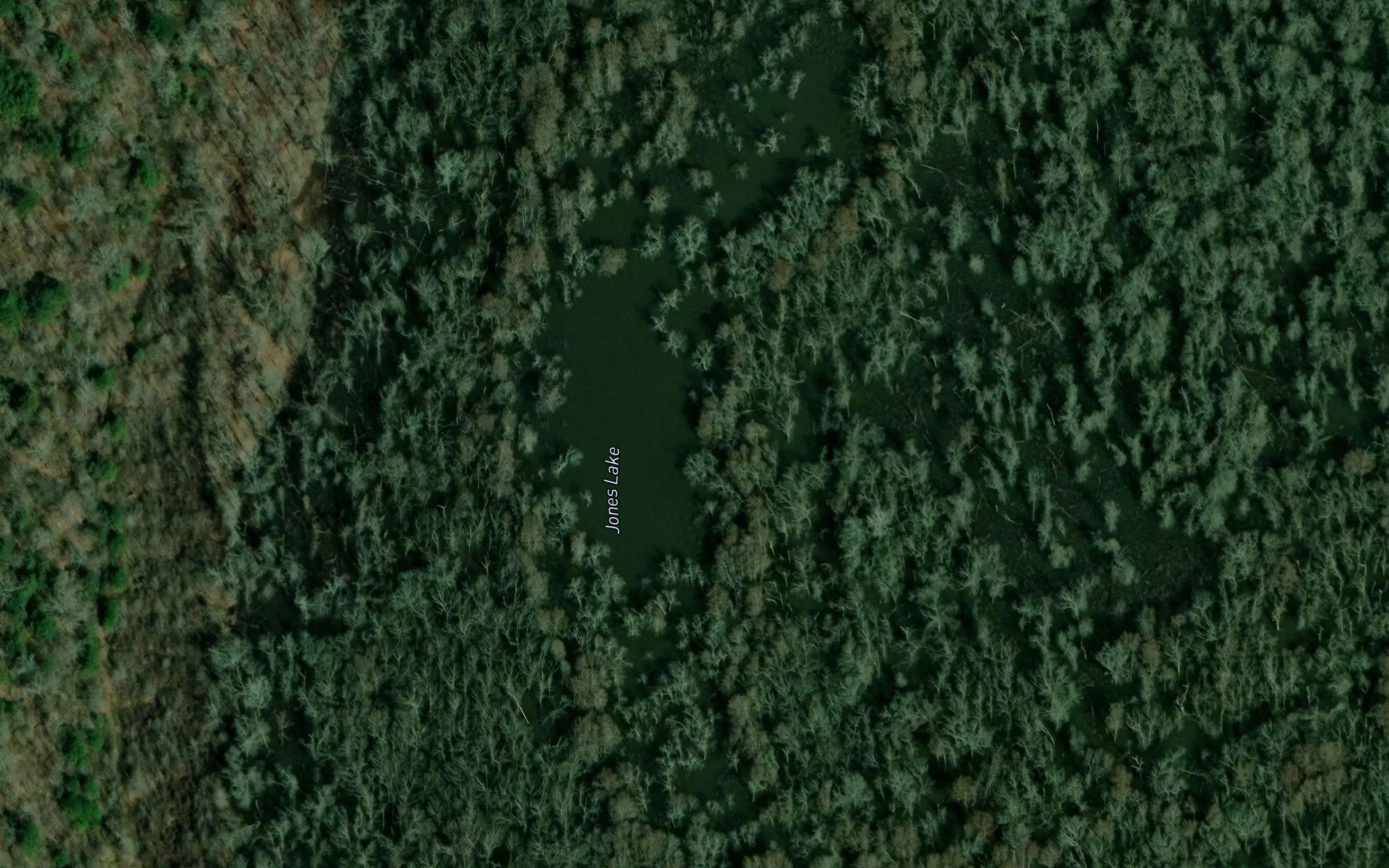 Jones Lake