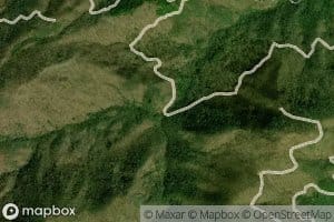 Right Prong Ray Branch