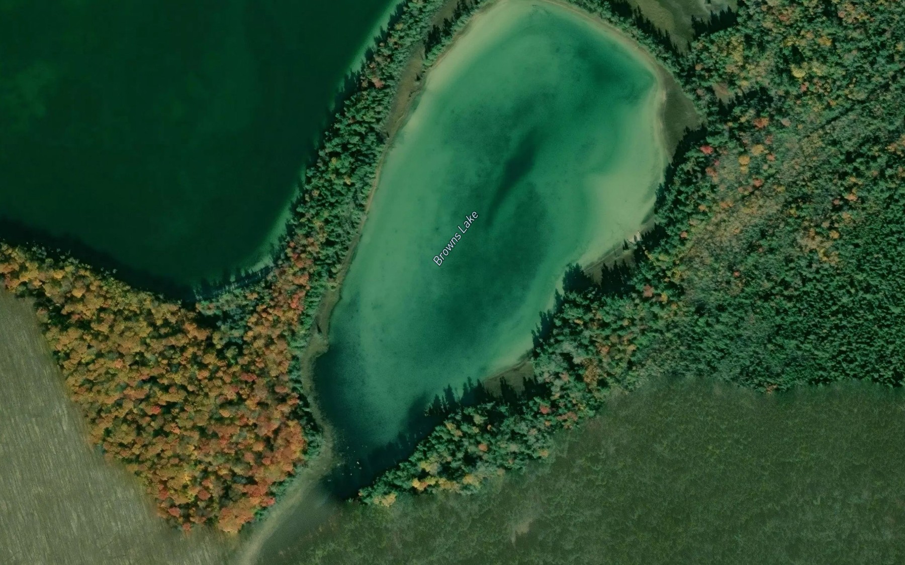 Satellite map of the Browns Lake