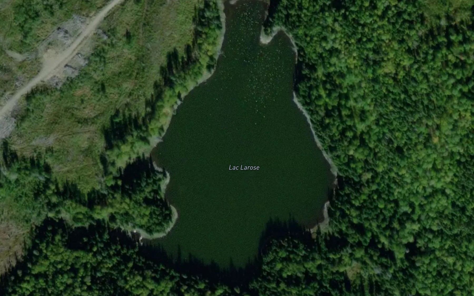 Satellite map of the Lac Larose