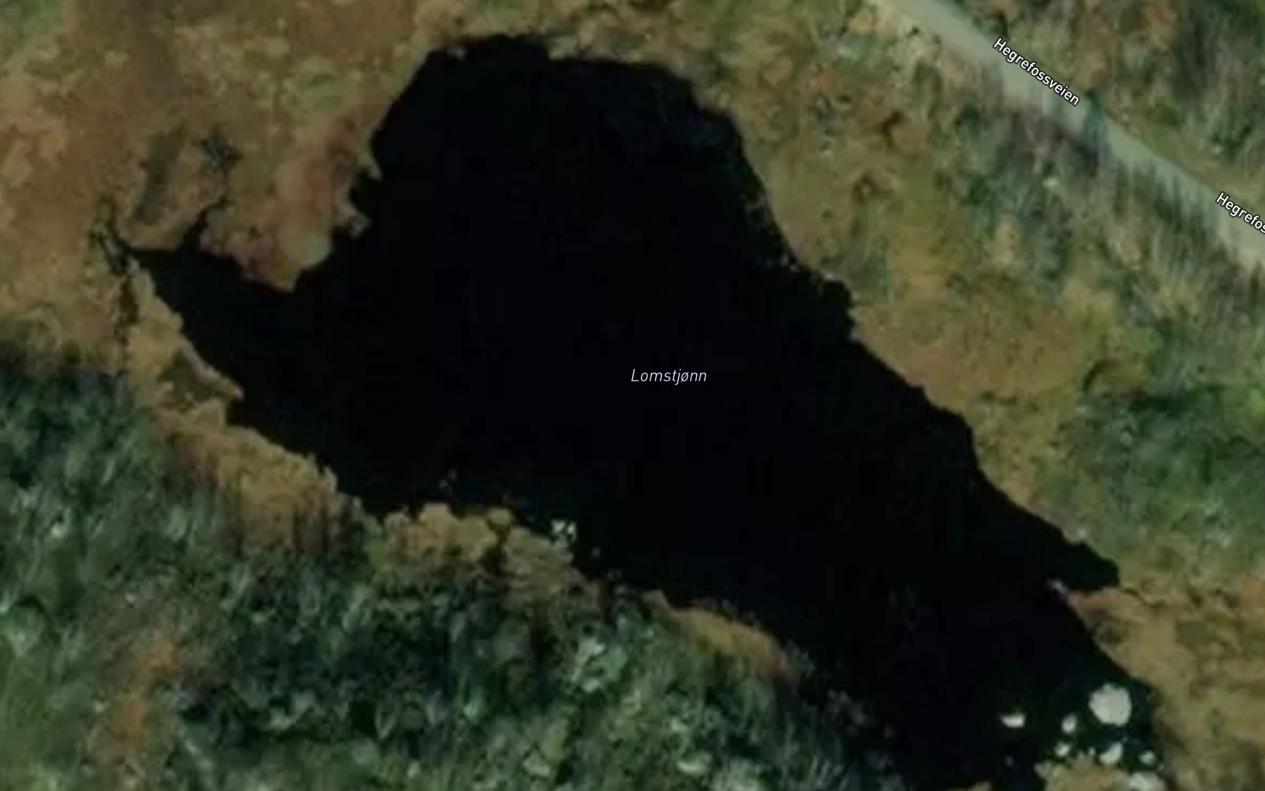 Lomstjonn