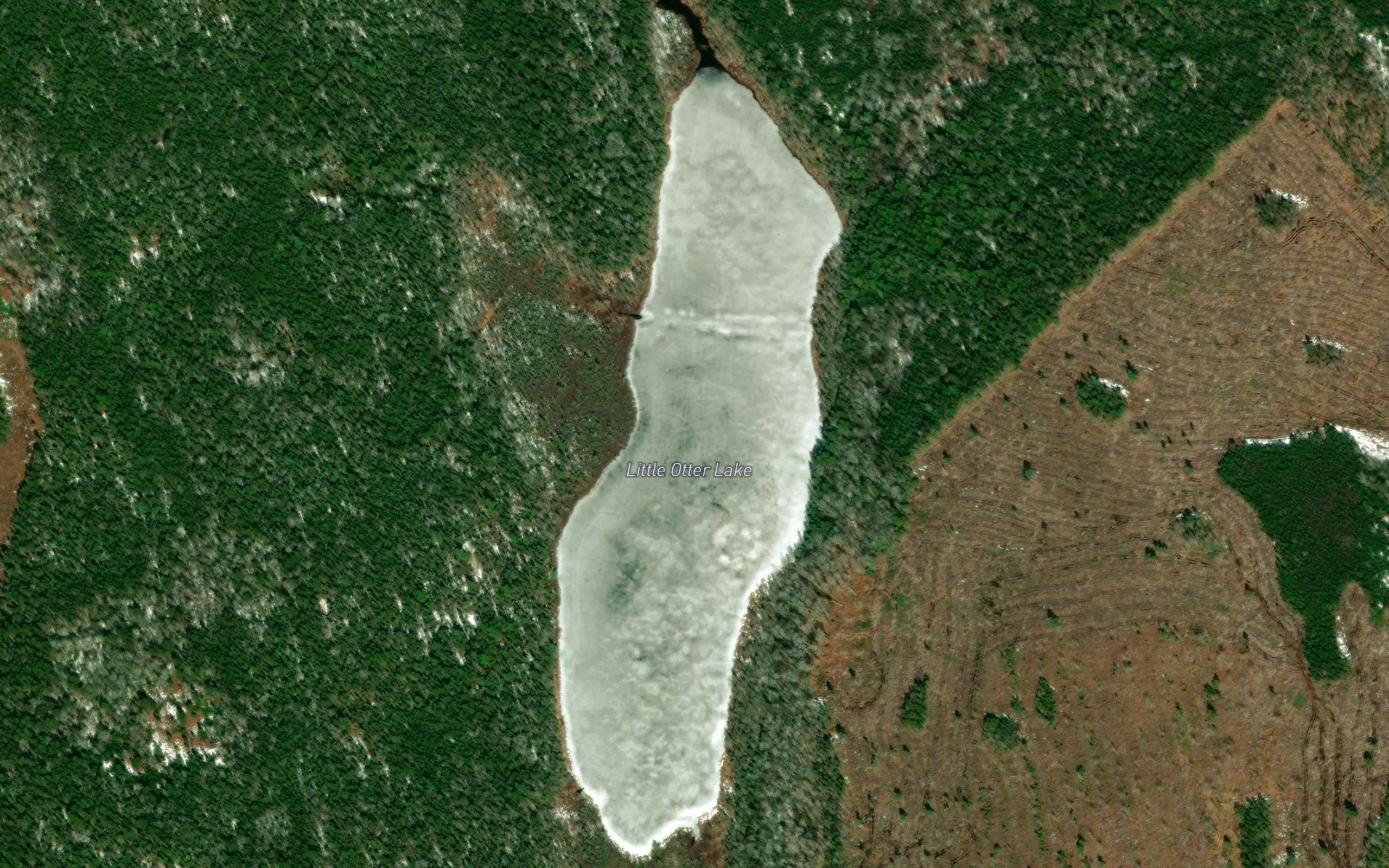 Little Otter Lake