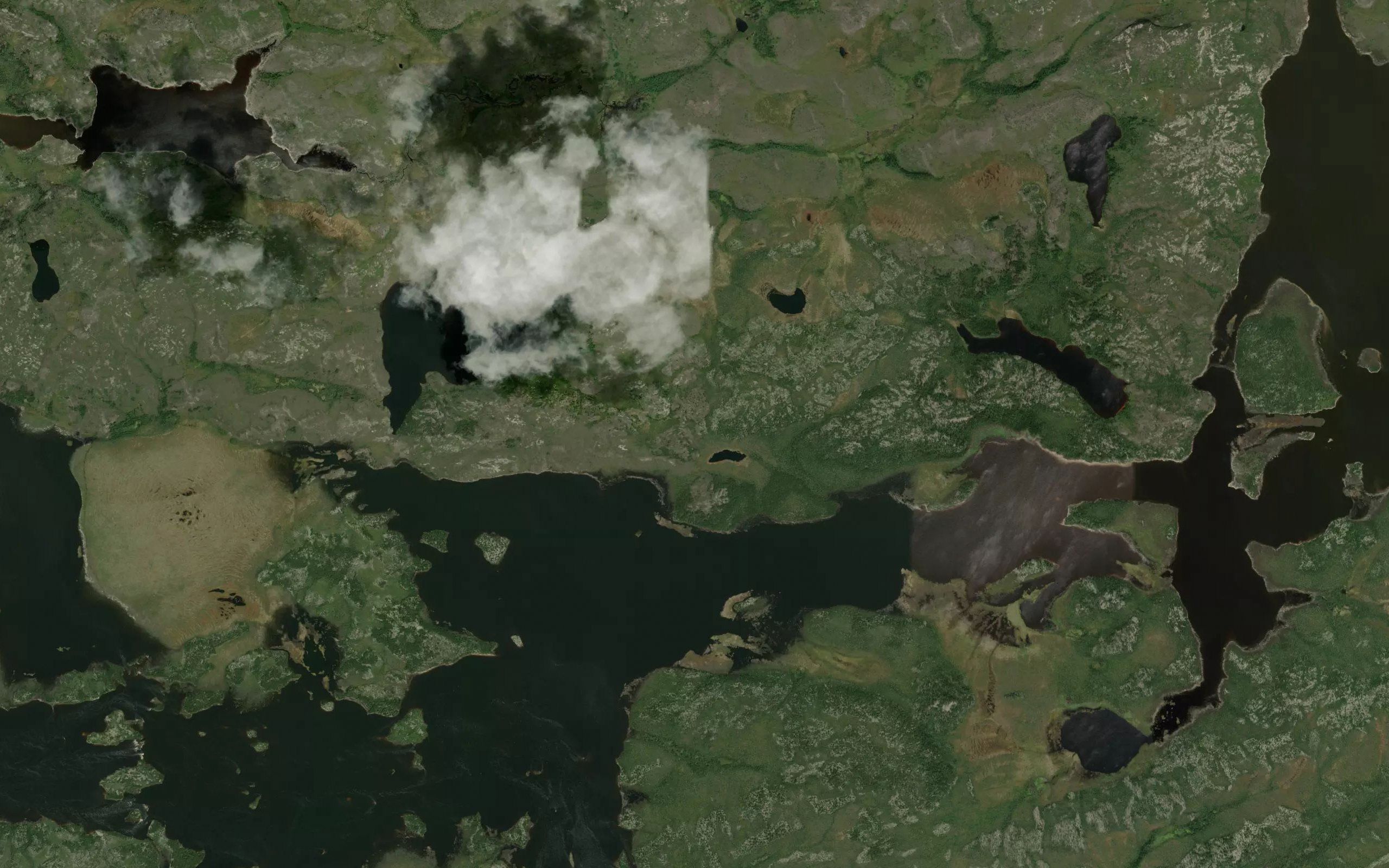 Passe Kaupiskasis