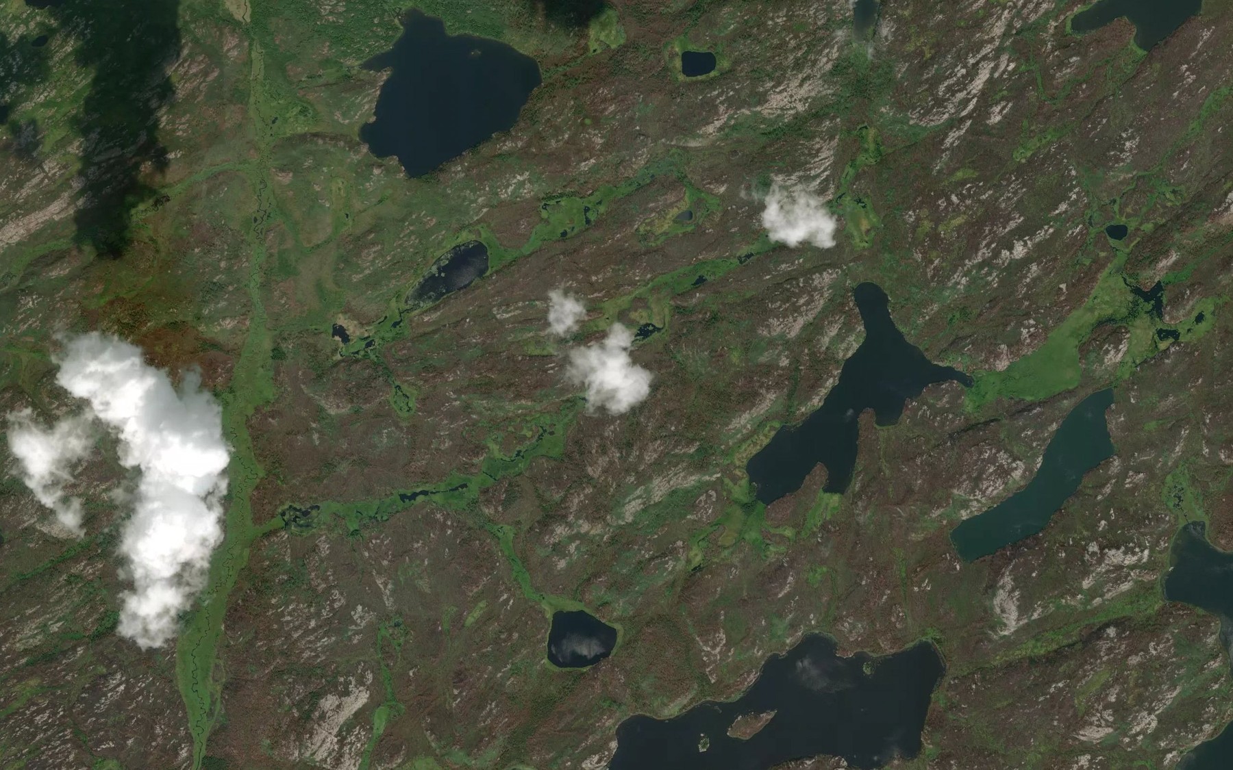 Lewis Lake Fishing in Saskatchewan 2026 — Live Reports, Forecast & AI ...