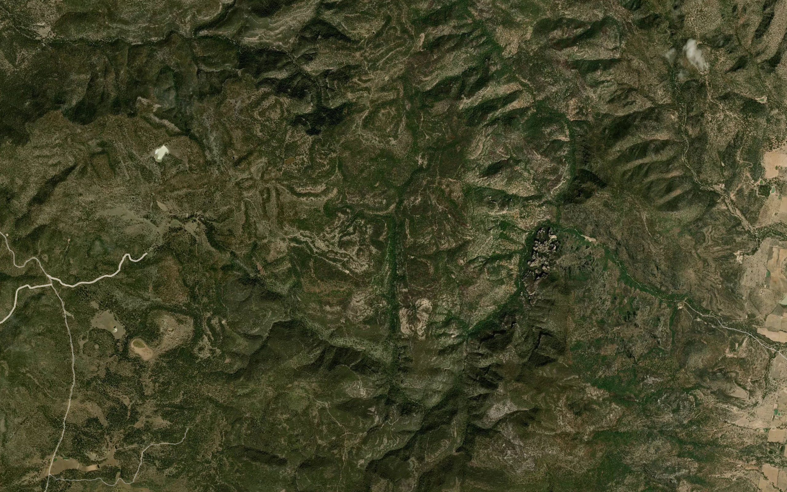 Guadalupe