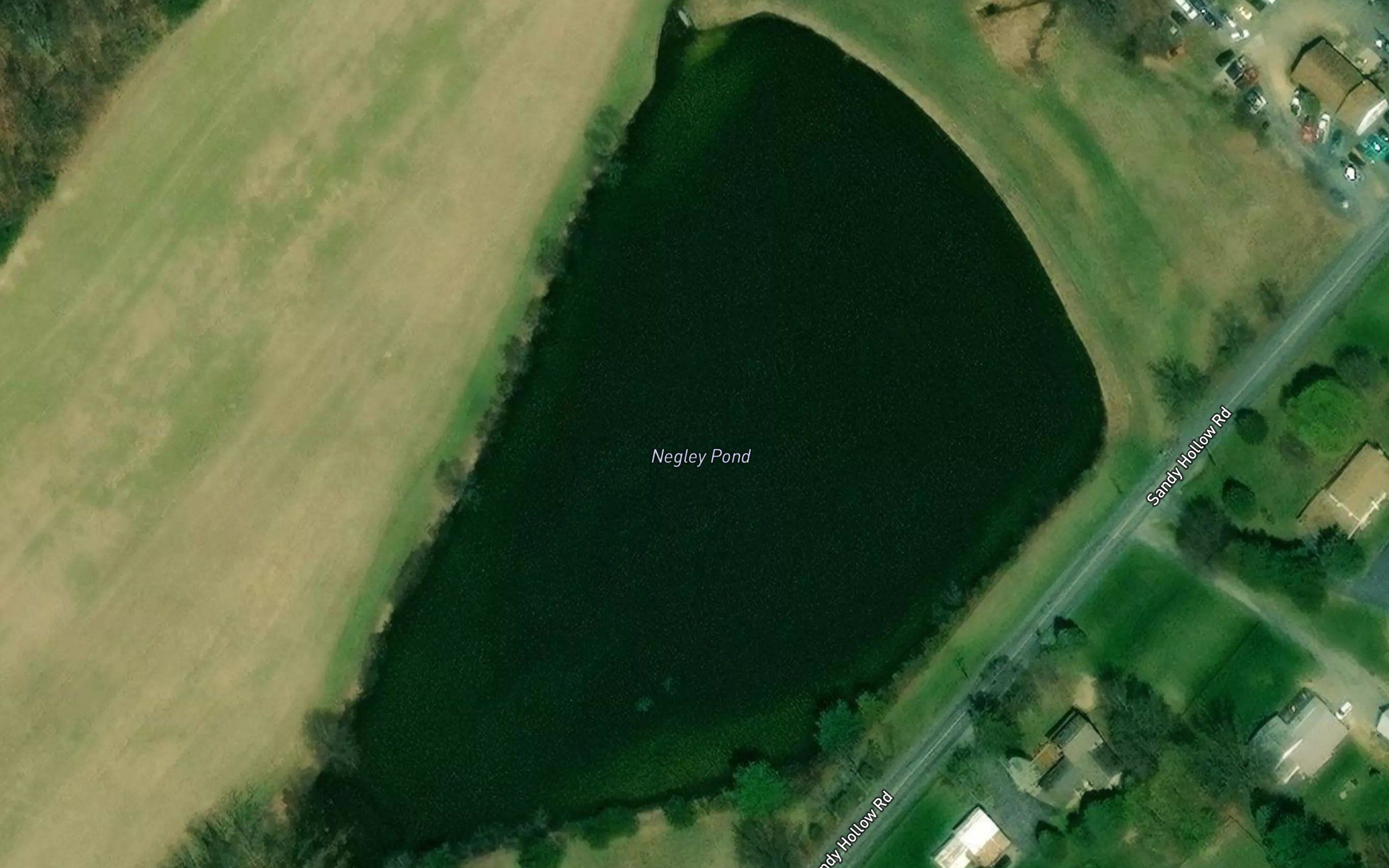 Negley Pond
