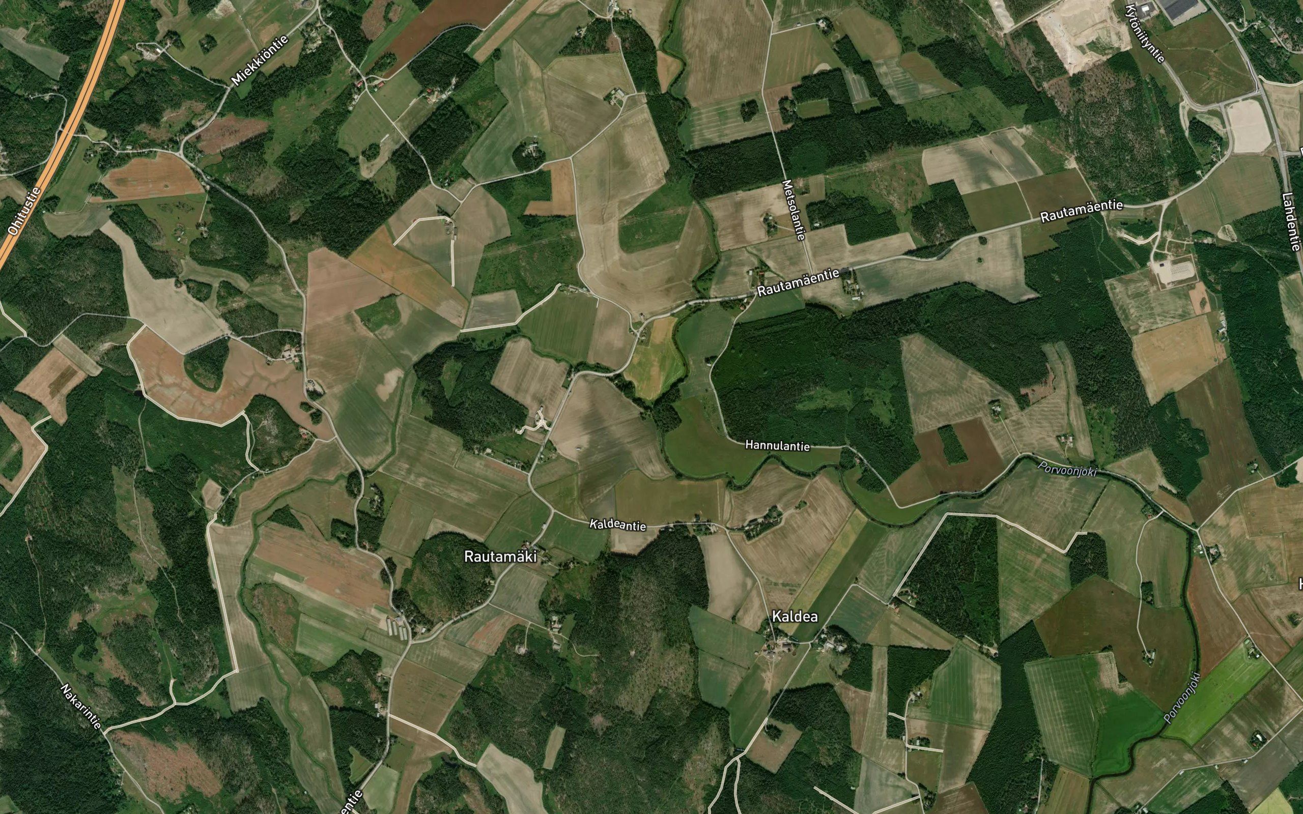Puujoki