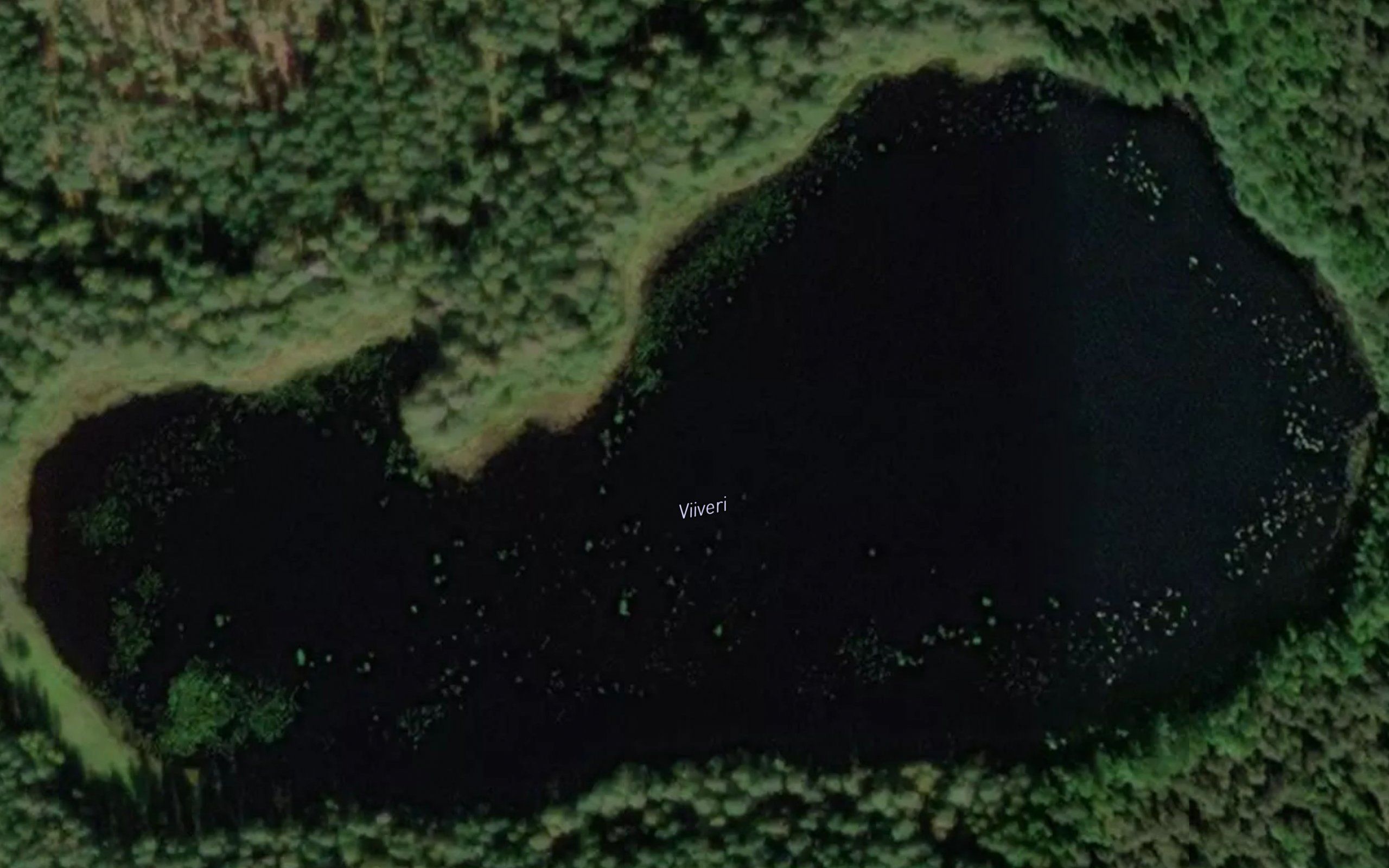 Viiveri