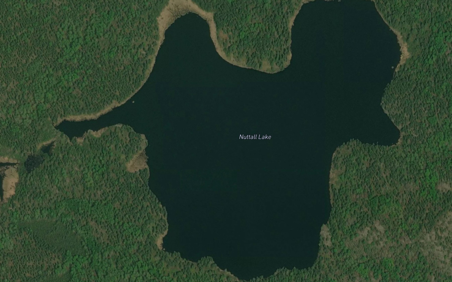 Satellite map of the Nuttall Lake
