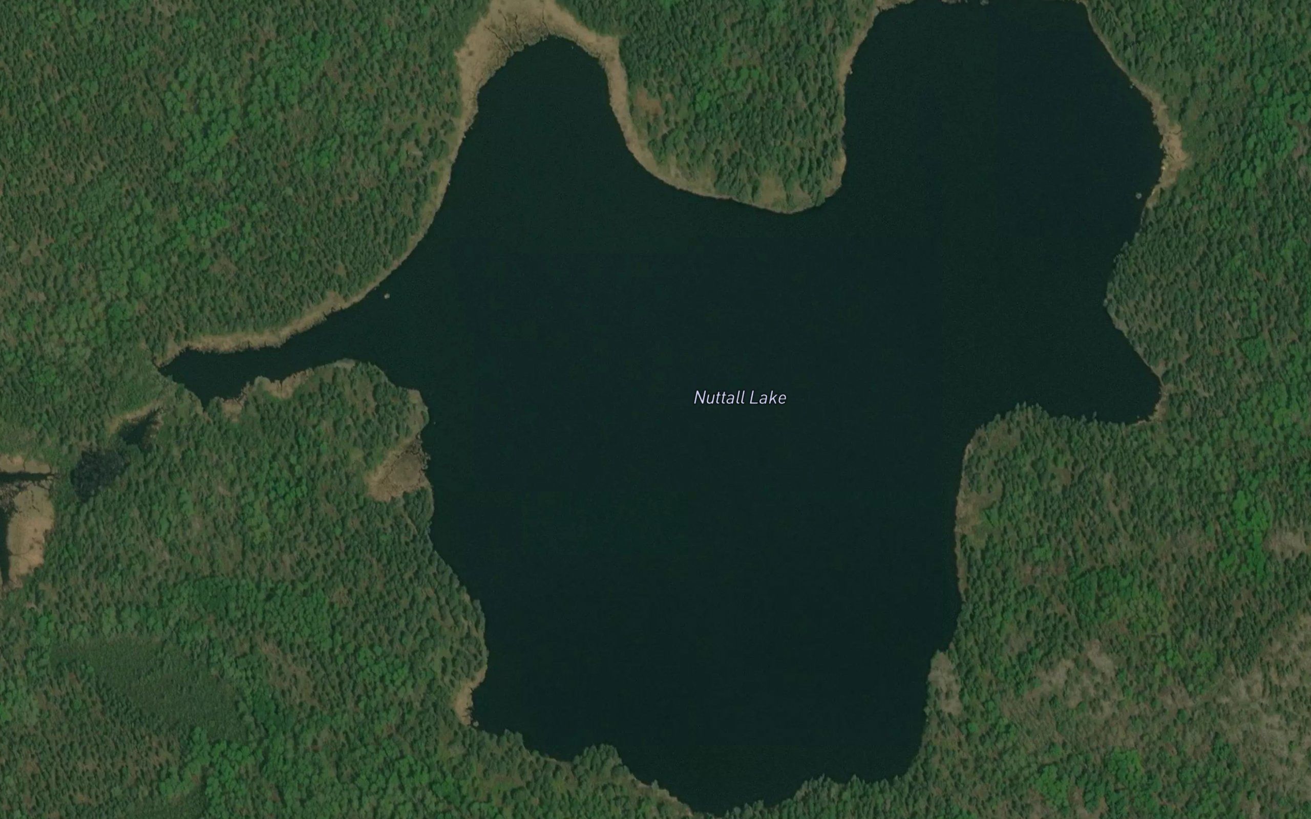 Nuttall Lake