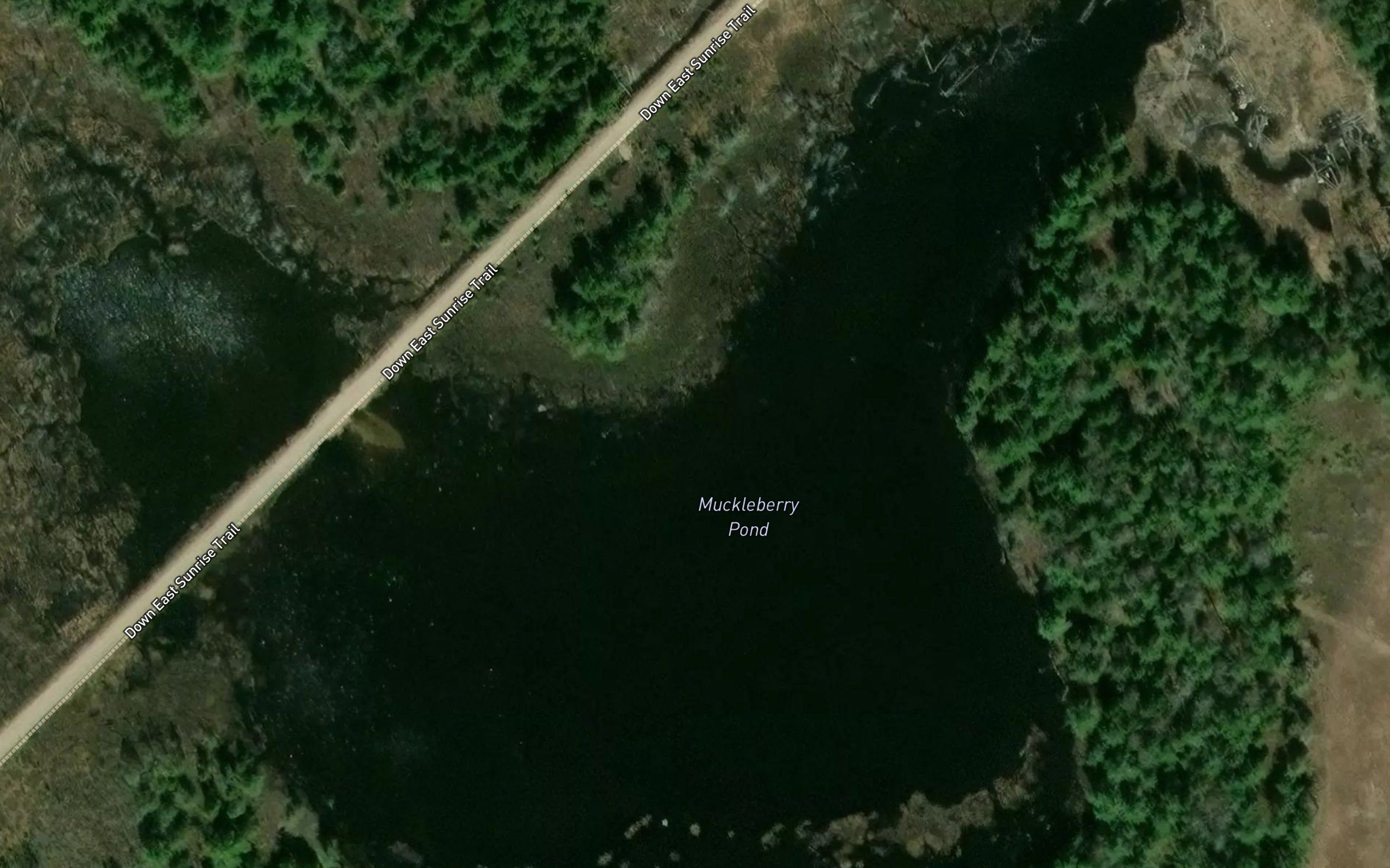 Muckleberry Pond