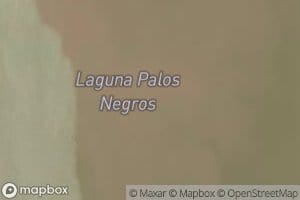 Laguna Palos Negros