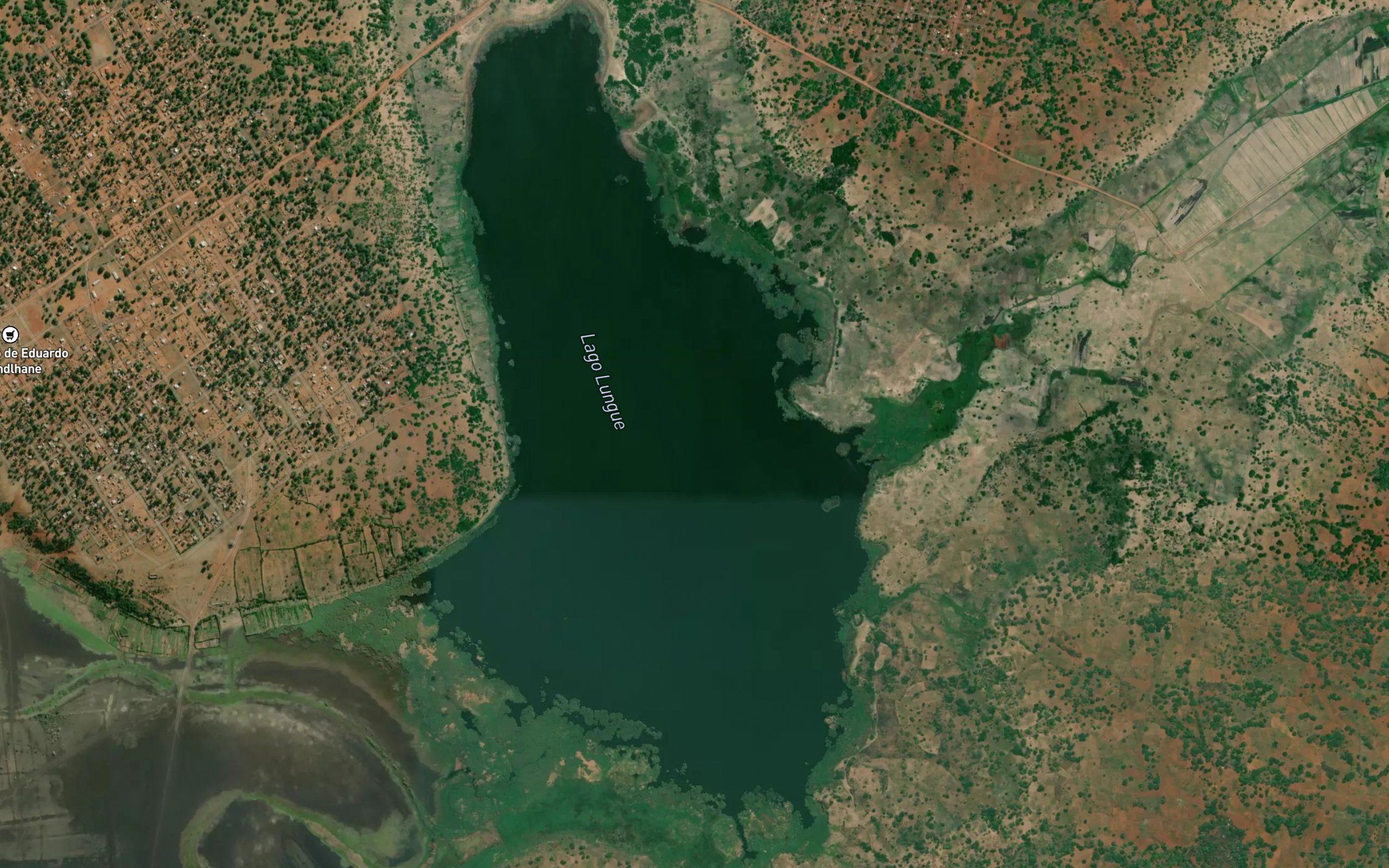 Lago Lungue