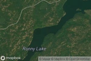 Ronny Lake