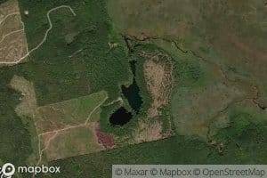 Silica Ponds