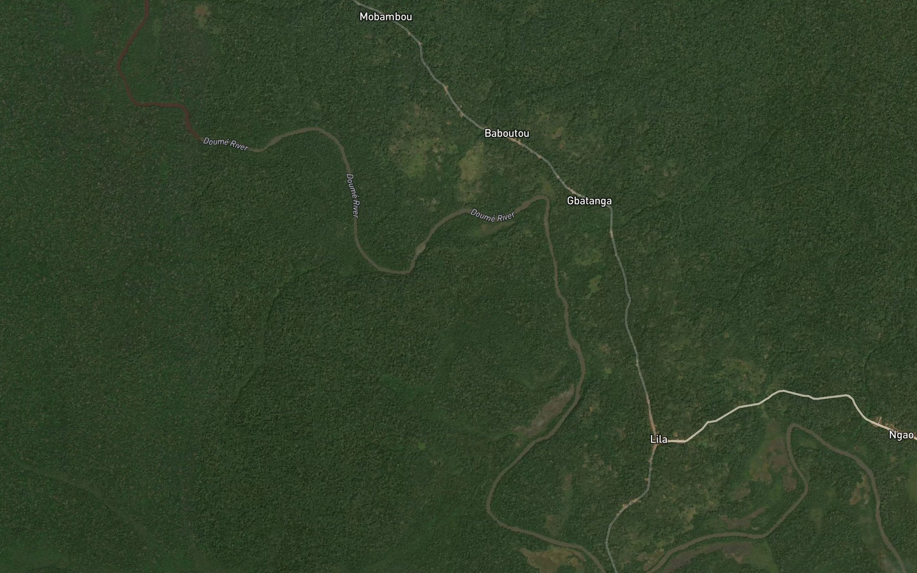 Satellite map of the Diagadi