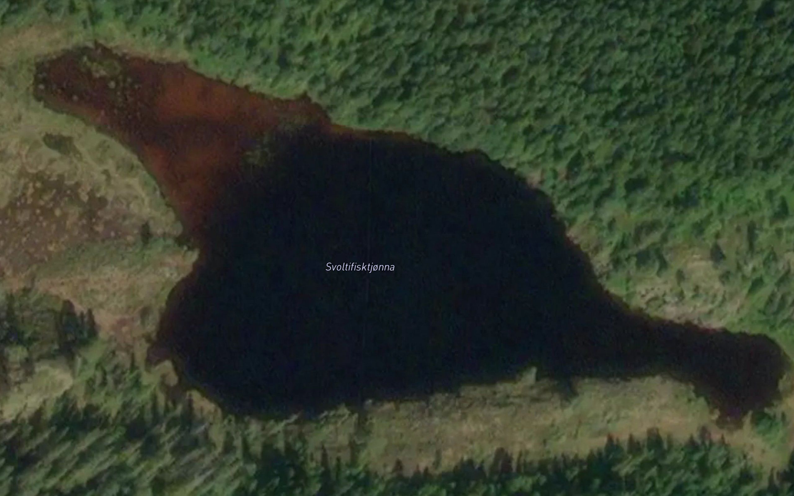 Sveltfisktjorna