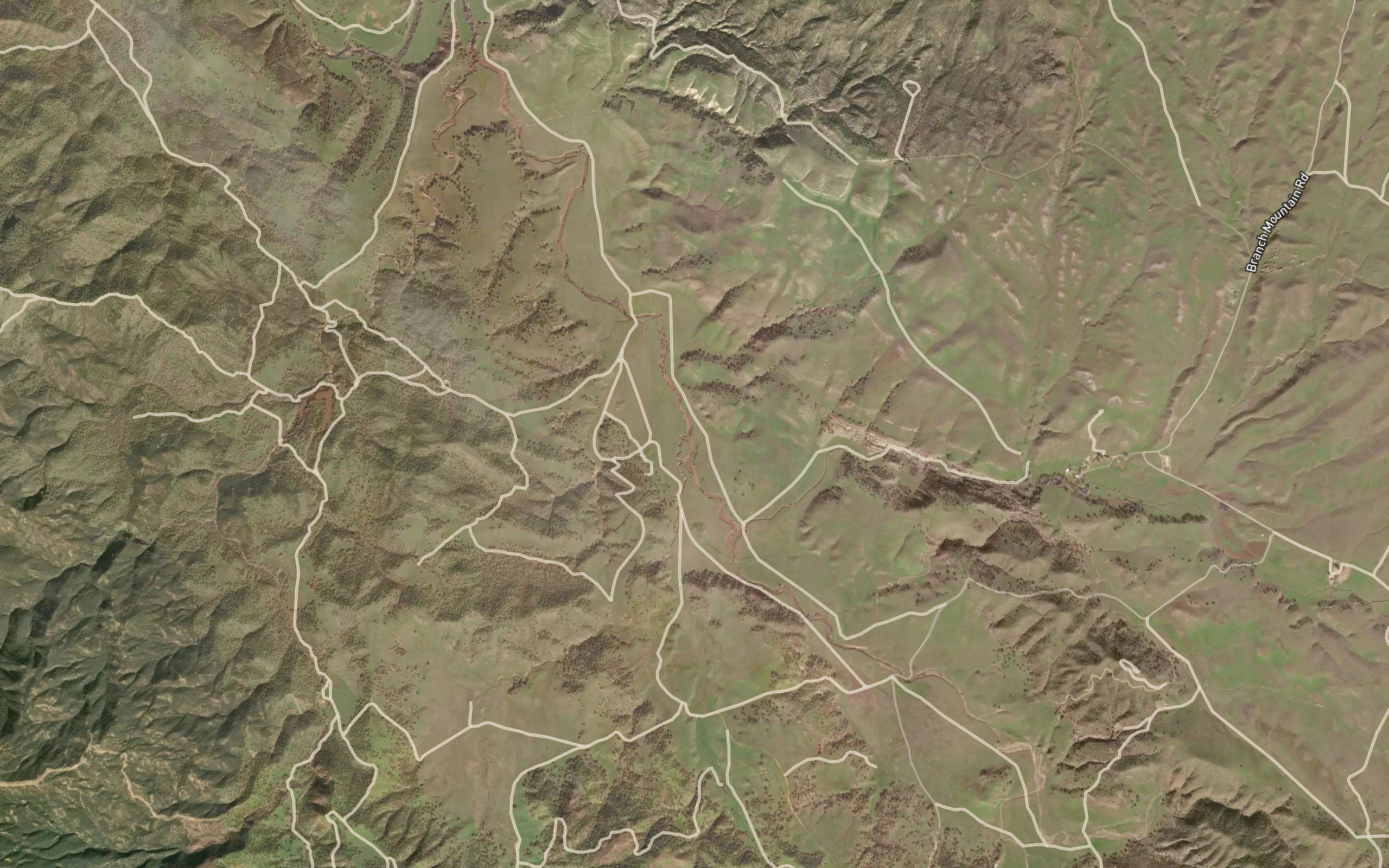 Rafael Creek