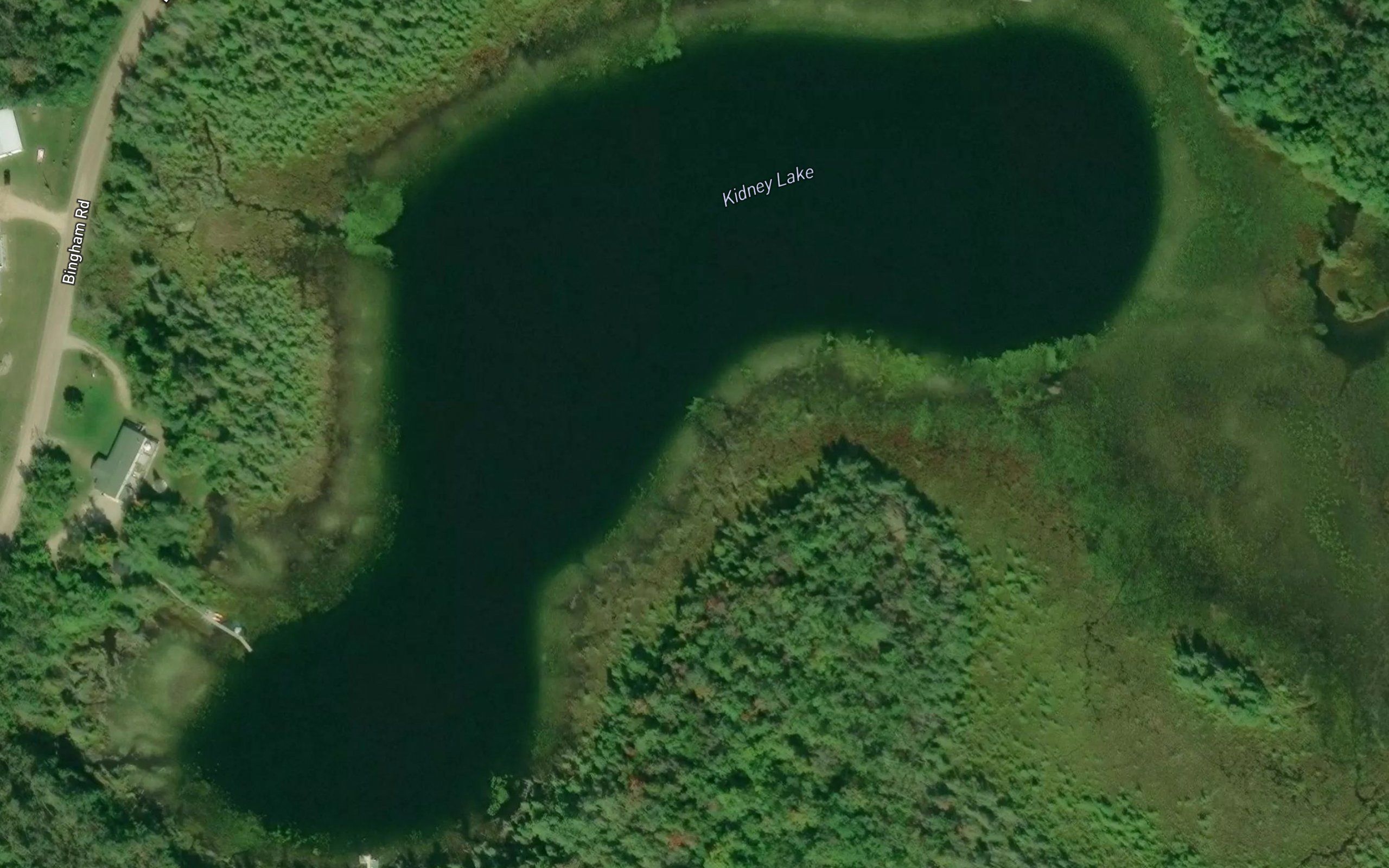 Kidney Lake