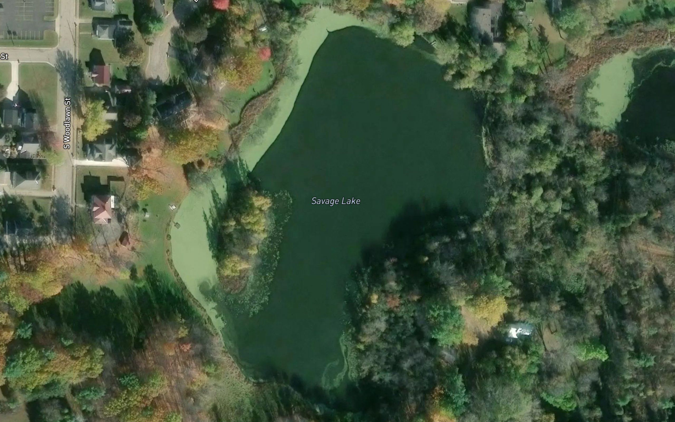 Savage Lake