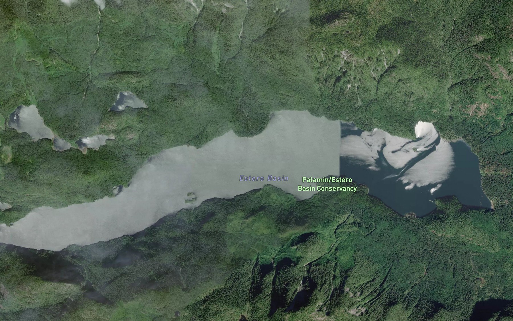 Satellite map of the Estero Basin