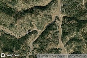 Button Thomas Spring