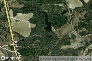 Gillis Mill Pond (historical)