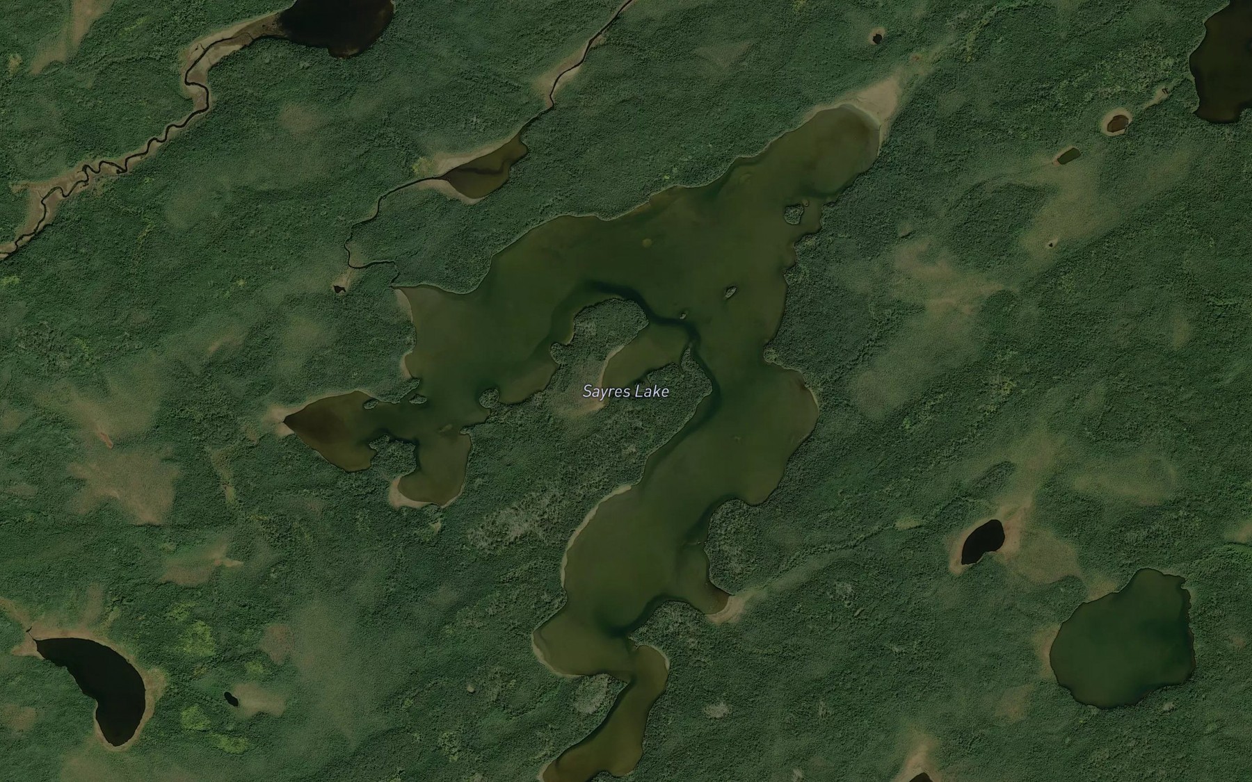Satellite map of the Sayres Lake
